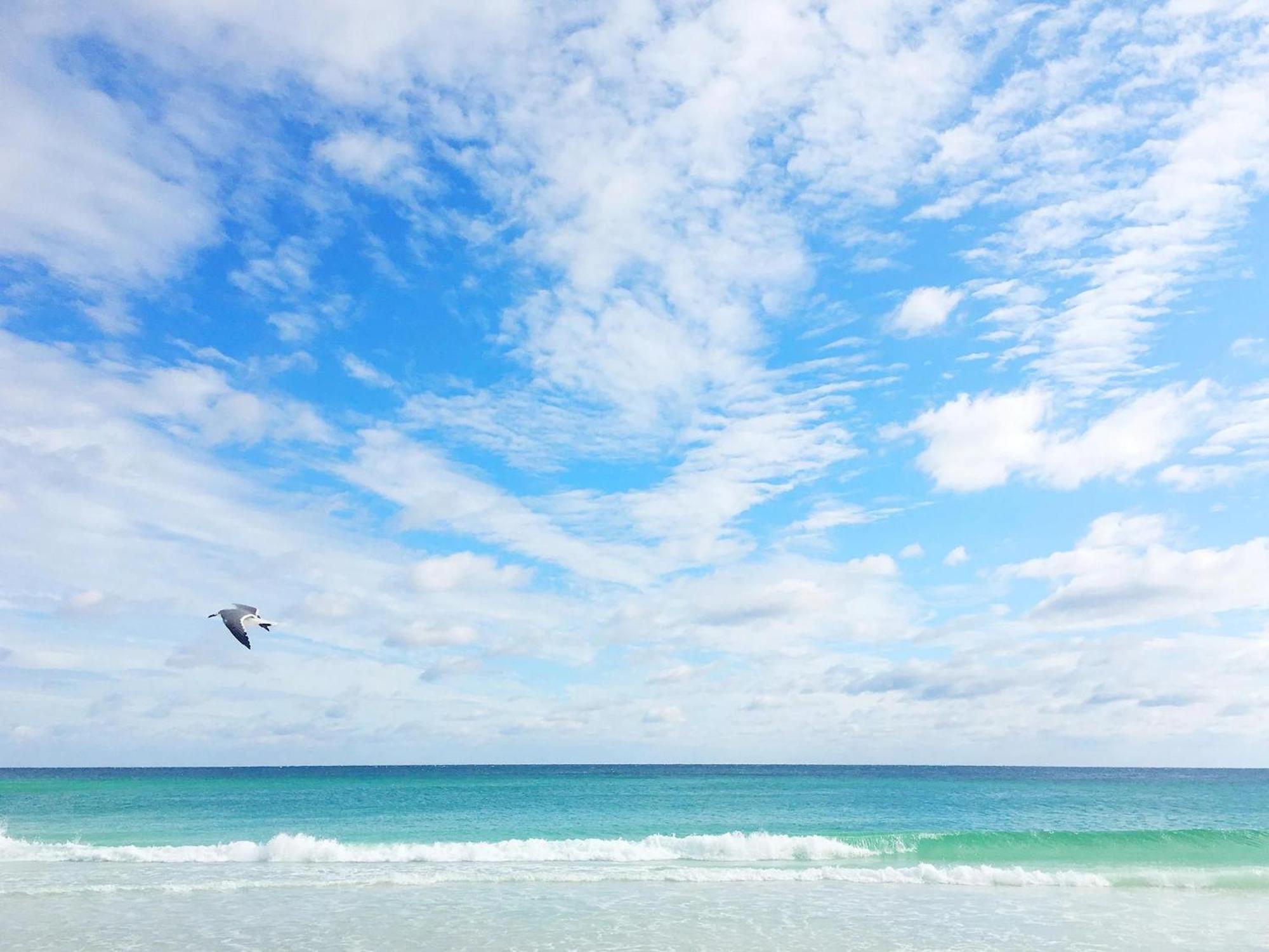 Bayside 6770 Destin